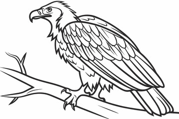 coloring page line art the vulture black vector