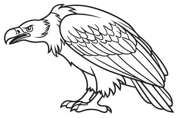 coloring page line art the vulture black vector