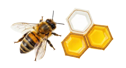 Keuken achterwand Bij Isolated Honeycomb and Bee  © Niklas