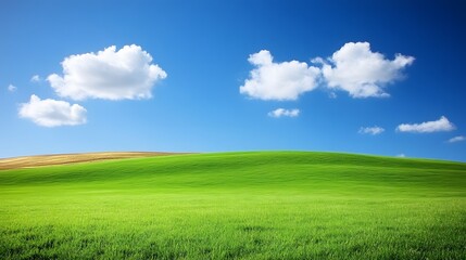 Obraz premium Serene Green Field Landscape Under Blue Sky with Clouds