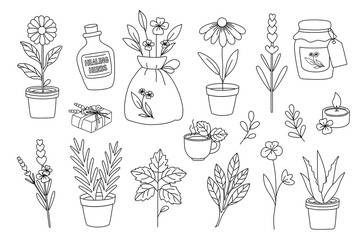 Black and white set of healing herbs, flowers, candles and natural elements