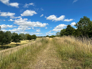 Pathway with blue skies
