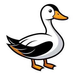 duck on white background