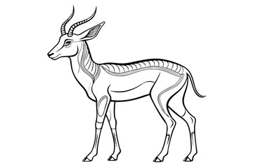 coloring pageline art the springbok black vector