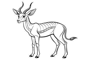 coloring pageline art the springbok black vector