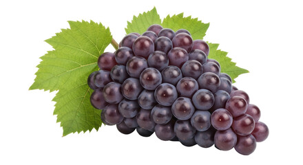 Isolated bunch of grapes