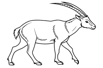 coloring page line art the saola black vector