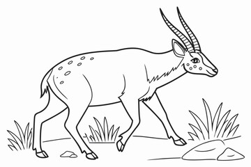 coloring page line art the saola black vector