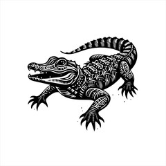 Obraz premium Alligator isolated on white background