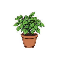 Fototapeta premium Illustration of a potted plant with green leaves artful on transparent background