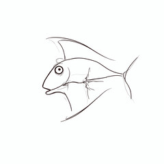 Obraz premium Outline of a barrel-shaped fish with a transparent dome-shaped head on a white background