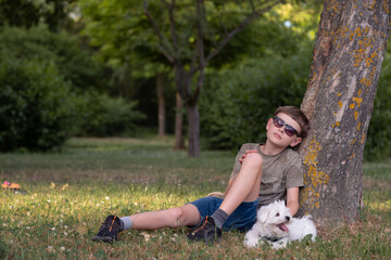 A boy sits under a tree with his Maltipoo puppy. A boy walks with a beautiful white Maltipoo puppy