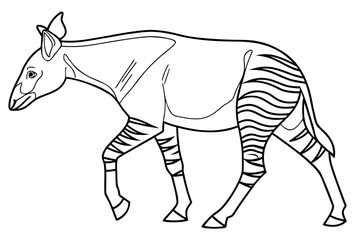 coloring page line art the okapi black vector © ofel