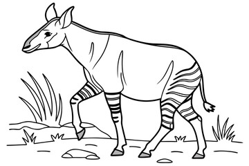 coloring page line art the okapi black vector © ofel