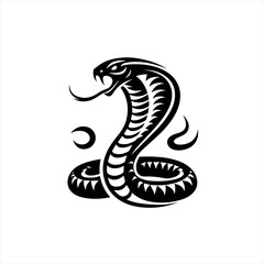Fototapeta premium Cobra isolated on white background