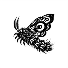 A moth isolated on white background
