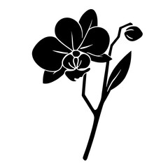 Minimalist black silhouette of an orchid with intricate petals on a white background