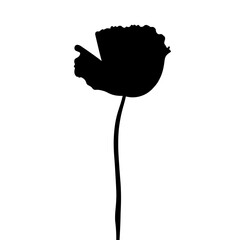 Minimalist black silhouette of a poppy flower on a white background