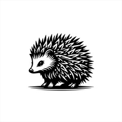 A cute hedgehog isolated on white background
