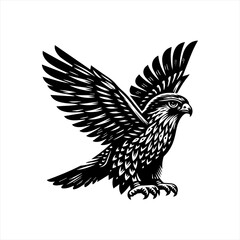 Obraz premium A hawk is soaring with its wings spread, isolated on white background