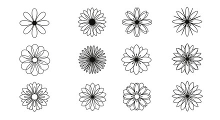 Obraz premium Collection of twelve delicate floral starburst motifs for decorative design projects