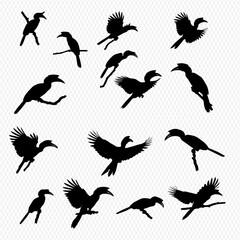 A collection of black silhouette illustrations depicting various hornbill birds in different poses, including flying, perching, and standing.