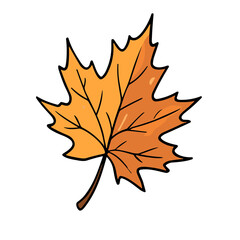 Obraz premium Single orange maple leaf illustration on transparent background for fall seasonal decor concept