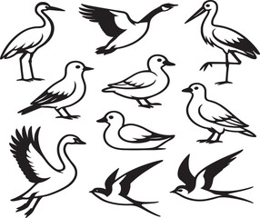 Obraz premium Popular Birds Line Art Vector Set – Clean Black on White Design