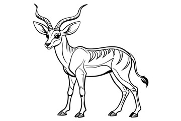 coloring page line art the pronghorn black vector