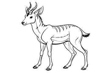 coloring page line art the pronghorn black vector