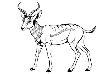 coloring page line art the pronghorn black vector