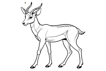 Fototapeta premium coloring page line art the pronghorn black vector