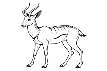 coloring page line art the pronghorn black vector