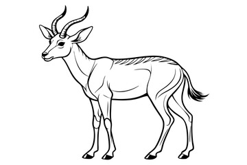 coloring page line art the pronghorn black vector