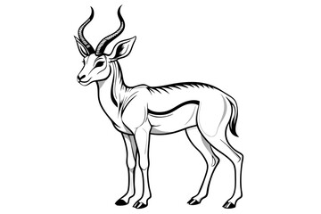 coloring page line art the pronghorn black vector