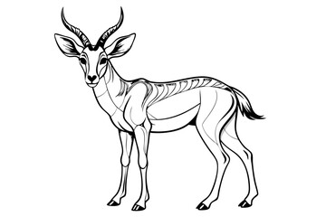 coloring page line art the pronghorn black vector