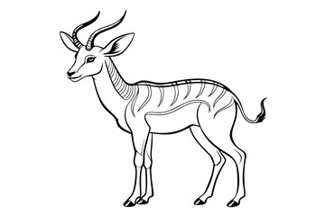 coloring page line art the pronghorn black vector