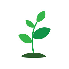 A green grow plant vector art illustration