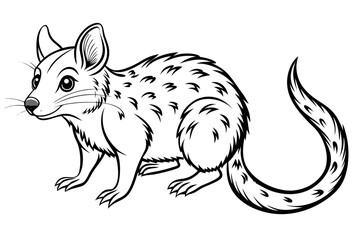 coloring page line art the quoll black vector