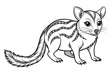 coloring page line art the quoll black vector