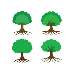 Obraz premium green big tree with roots set of vector illustration