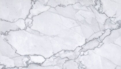 Obraz premium White marble surface with veining