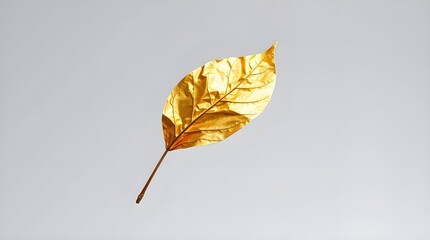 autumn leaf on the ground