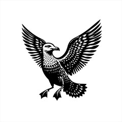 Seagull in flight, isolated on white