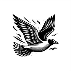 Fototapeta premium Seagull in flight