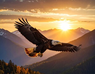 Majestic eagle soaring over mountains at sunset