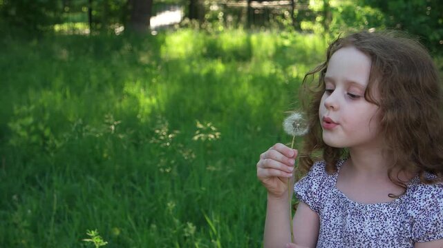 Beautiful little curly girl blowing dandelion, horizontal shot.