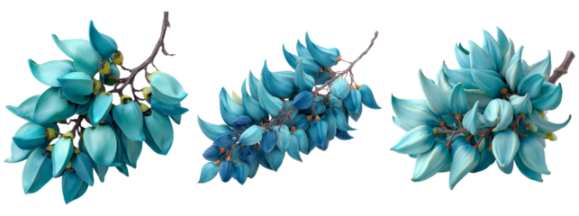 Three Decorative Branches with Blue and Green Leaves on Transparent Background