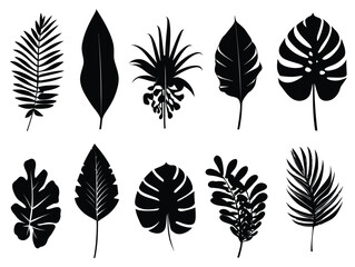 Black vector flat simple leaf set collection on white background, tropical leaf silhouette vector illustration isolated