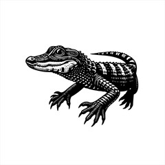 Naklejka premium Alligator isolated on white background